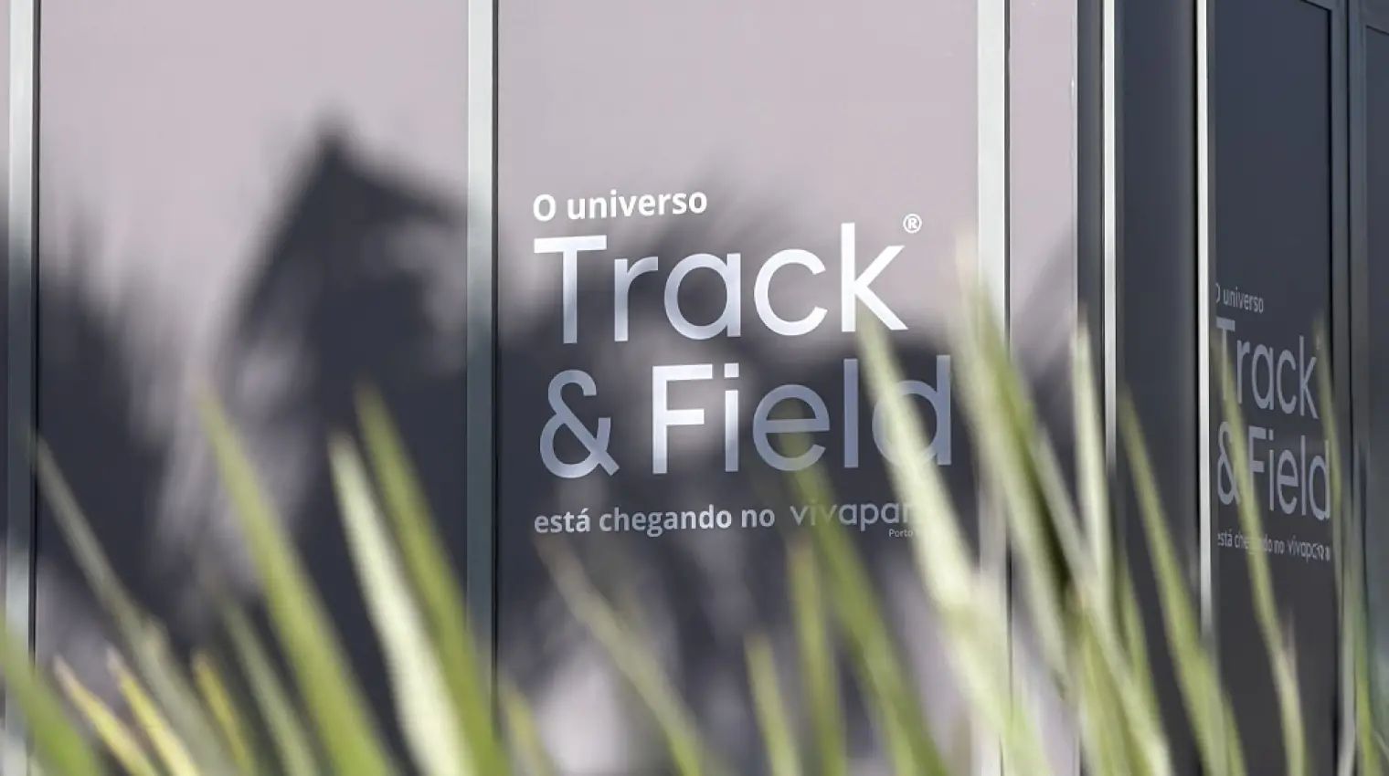 Track&Field