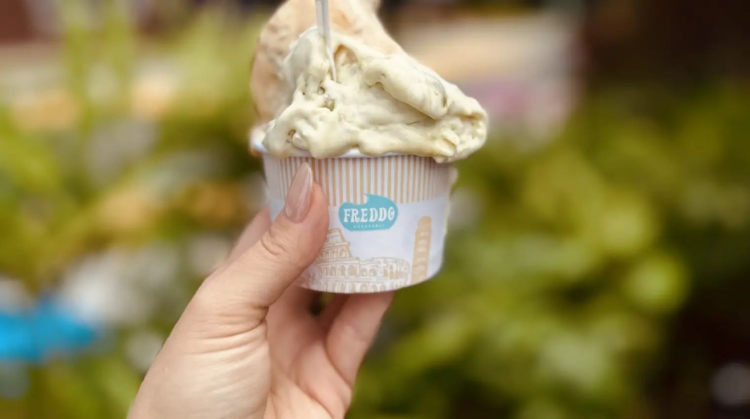Freddo