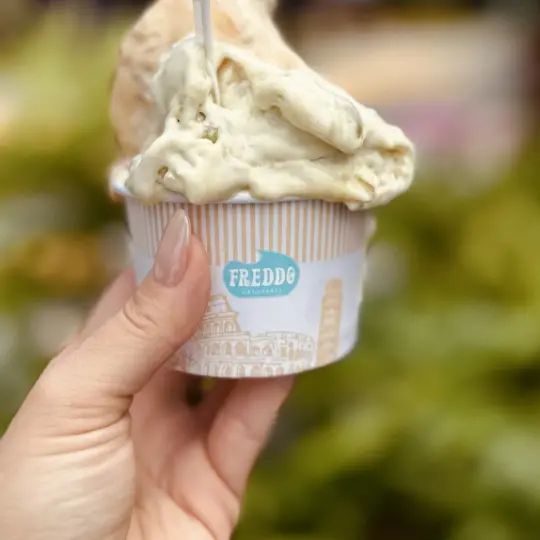 Freddo